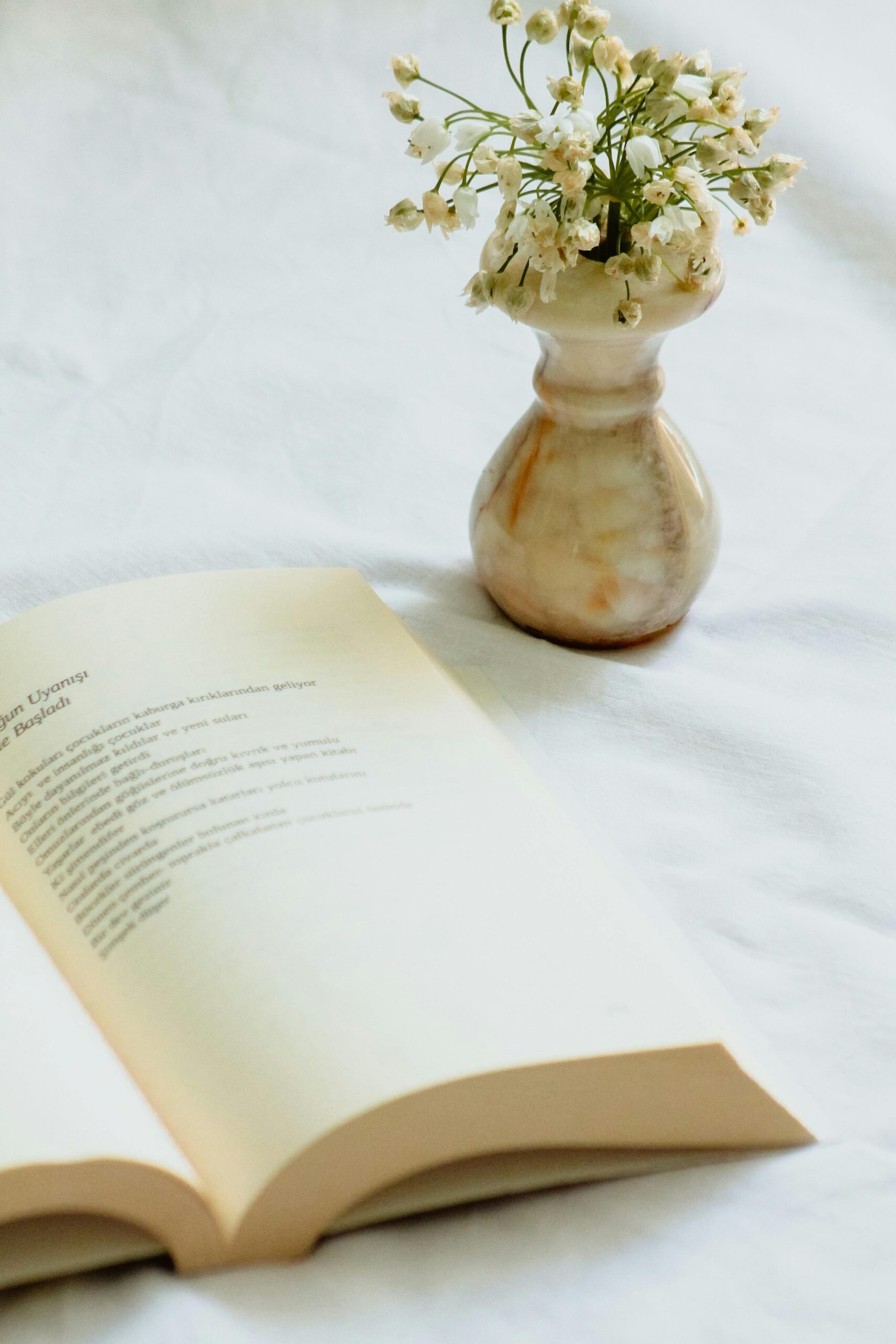 pexels-rahimegul-16207113 pexels-rahimegul-16207113